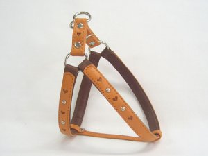 画像5: [キップ] 胴輪（小型犬〜中型犬用）