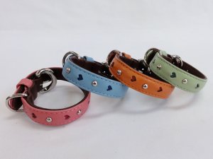 画像1: [キップ] 首輪（小型〜中型犬用・15〜3４cm・サイズ）