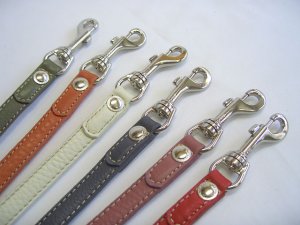 画像3: [シュリンク] リード（中型犬用）