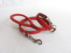 画像4: [シュリンク] リード（中型犬用）