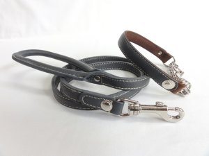 画像6: [シュリンク] リード（中型犬用）