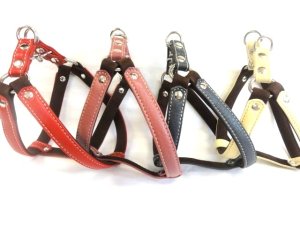 画像2: [シュリンク] ハーネス（小型犬〜中型犬用）