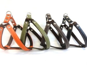 画像1: [シュリンク] ハーネス（小型犬〜中型犬用）