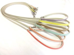 画像1: [パステル] リード・２(小型犬用)