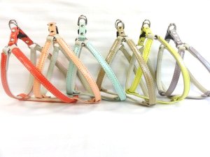 画像1: [パステル] ハーネス（小型犬用）