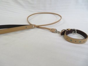 画像5: [プチフラワー] 首輪（超小型犬〜小型犬用）
