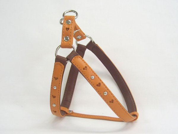 画像5: [キップ] 胴輪（小型犬〜中型犬用） (5)