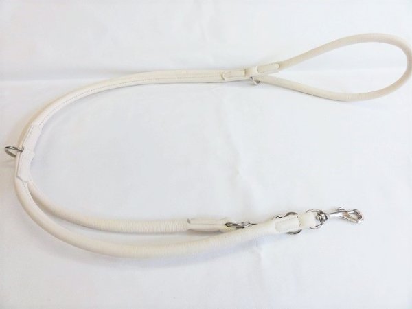 画像2: [丸型シリーズ] 多目的リード（中型犬用） (2)