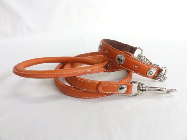 画像8: [シュリンク] リード（中型犬用） (8)