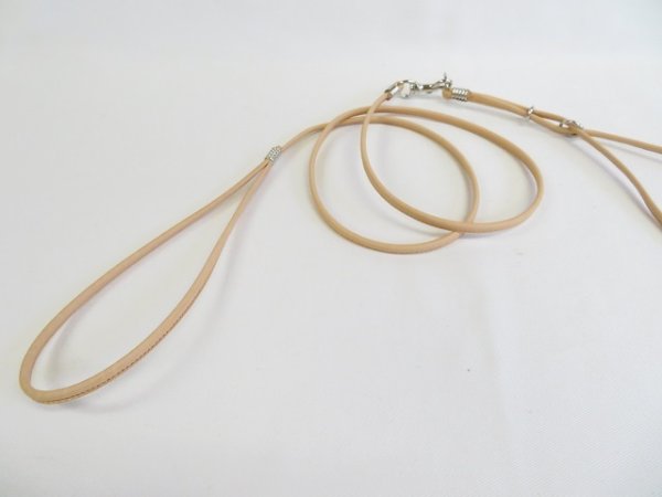 画像2: [ショーリードタイプ・１] （超小型犬〜小型犬用） (2)