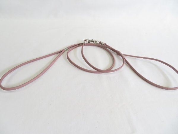 画像5: [ショーリードタイプ・2] （超小型犬〜小型犬用） (5)