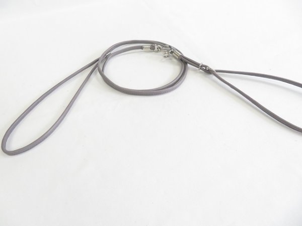 画像7: [ショーリードタイプ・2] （超小型犬〜小型犬用） (7)