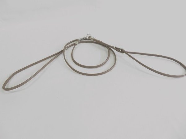 画像4: [ショーリードタイプ・2] （超小型犬〜小型犬用） (4)