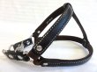 画像10: [シュリンク] ハーネス（小型犬〜中型犬用） (10)