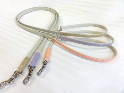 画像1: [パステル] リード・２(小型犬用)