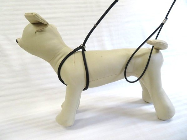 画像2: [ショーリードタイプ・ハーネスバージョン] （超小型犬〜小型犬用） (2)