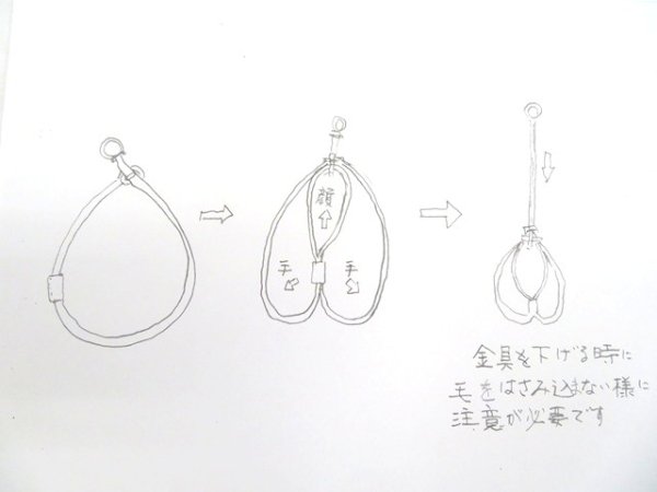 画像6: [ショーリードタイプ・ハーネスバージョン] （超小型犬〜小型犬用） (6)